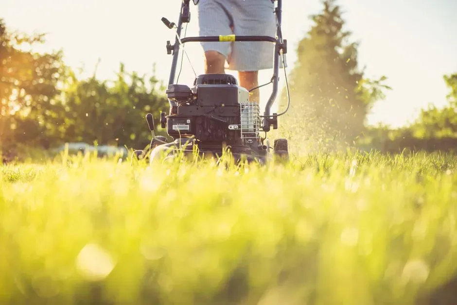How to clean a lawn mower carburetor