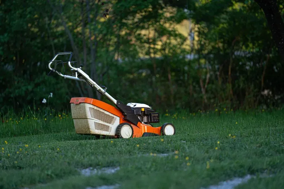 How Often Should You Change Lawn Mower Oil?