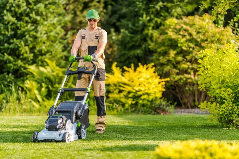How to Mow Your Lawn for Better Results
