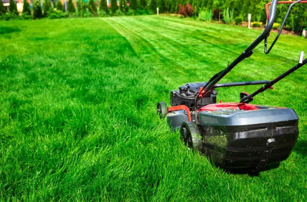 How To Mow Your Lawn For Better Results