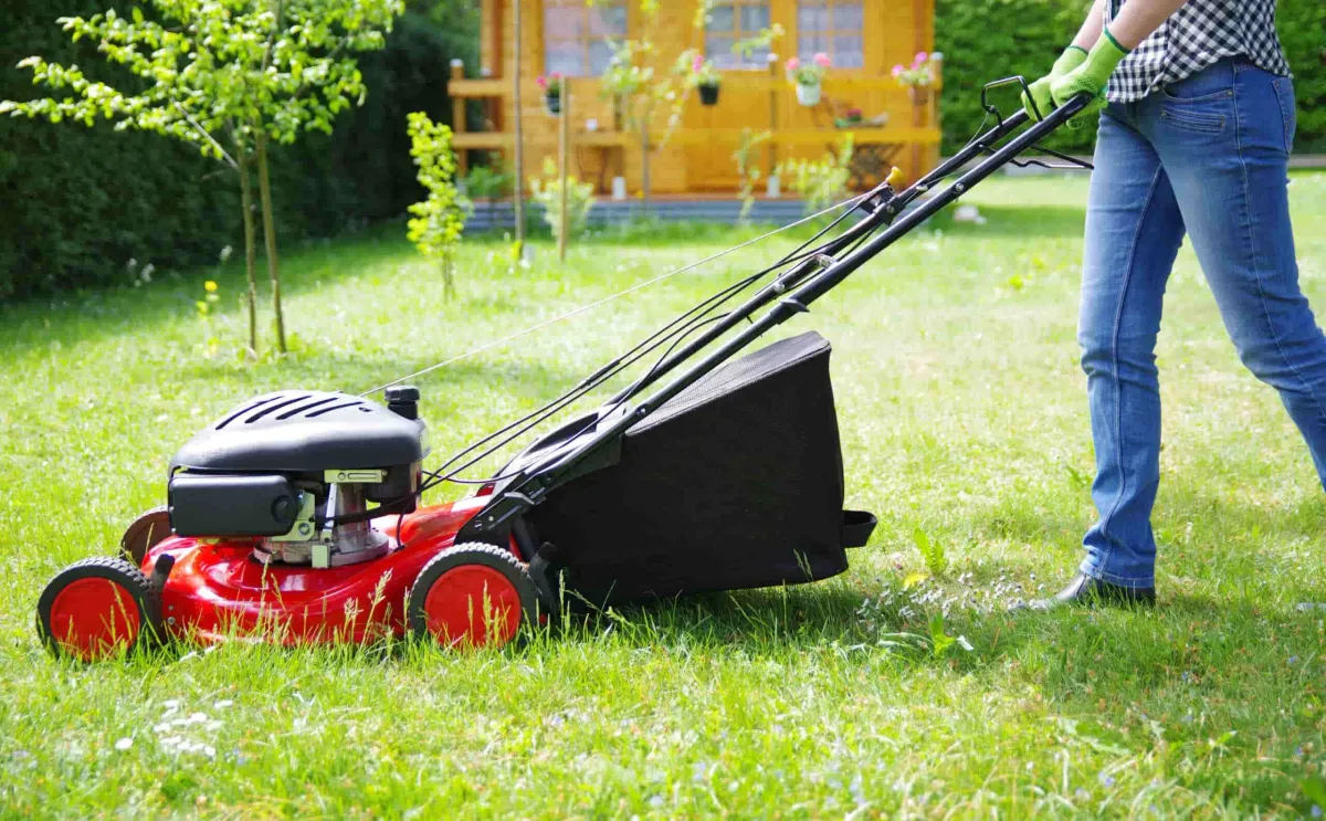 How To Mow Your Lawn For Better Results