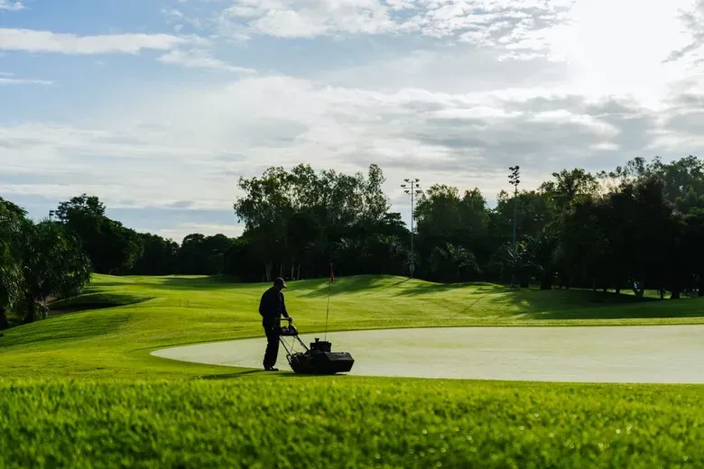 How to Keep Your Lawn Green After Mowing