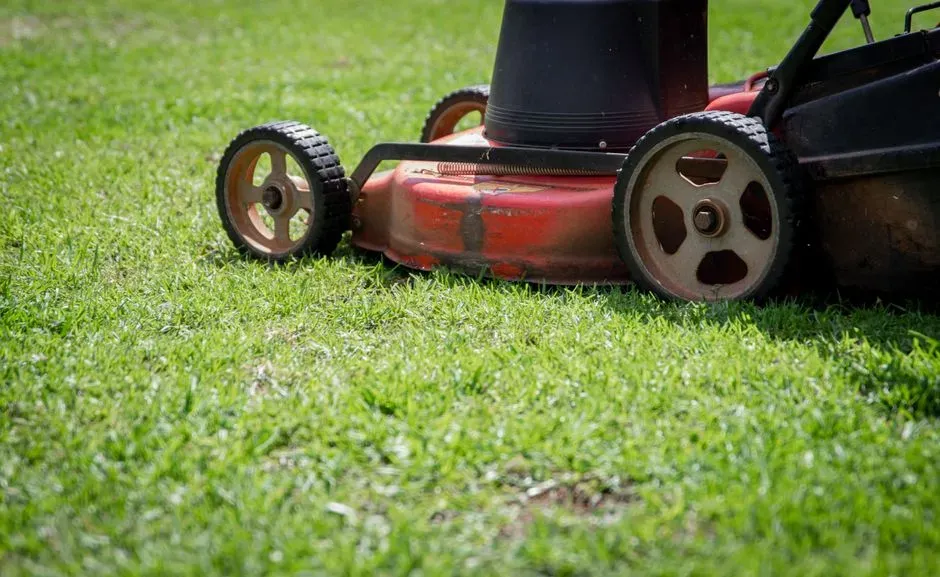 How To Keep Your Lawn Green After Mowing