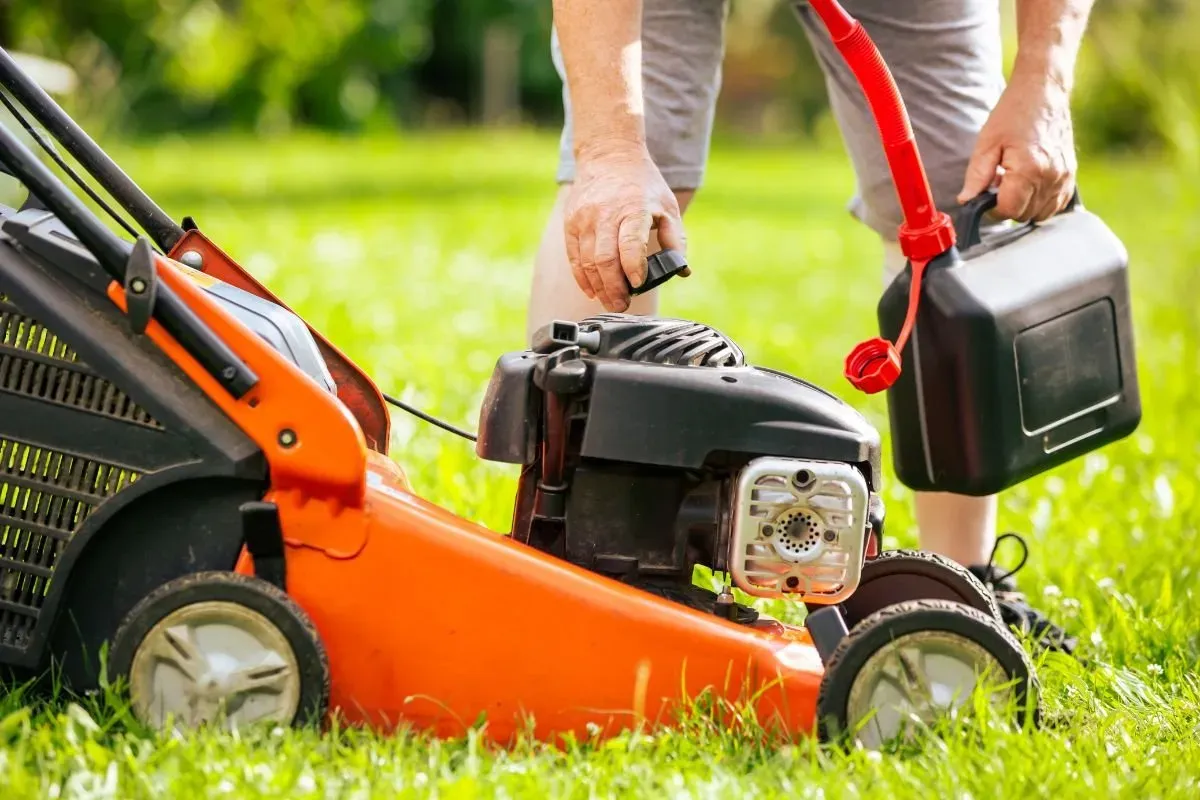 How To Maintain A Lawn Mower At Homeour Lawn Green After Mowing