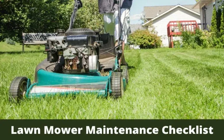 How To Maintain A Lawn Mower At Homeour Lawn Green After Mowing