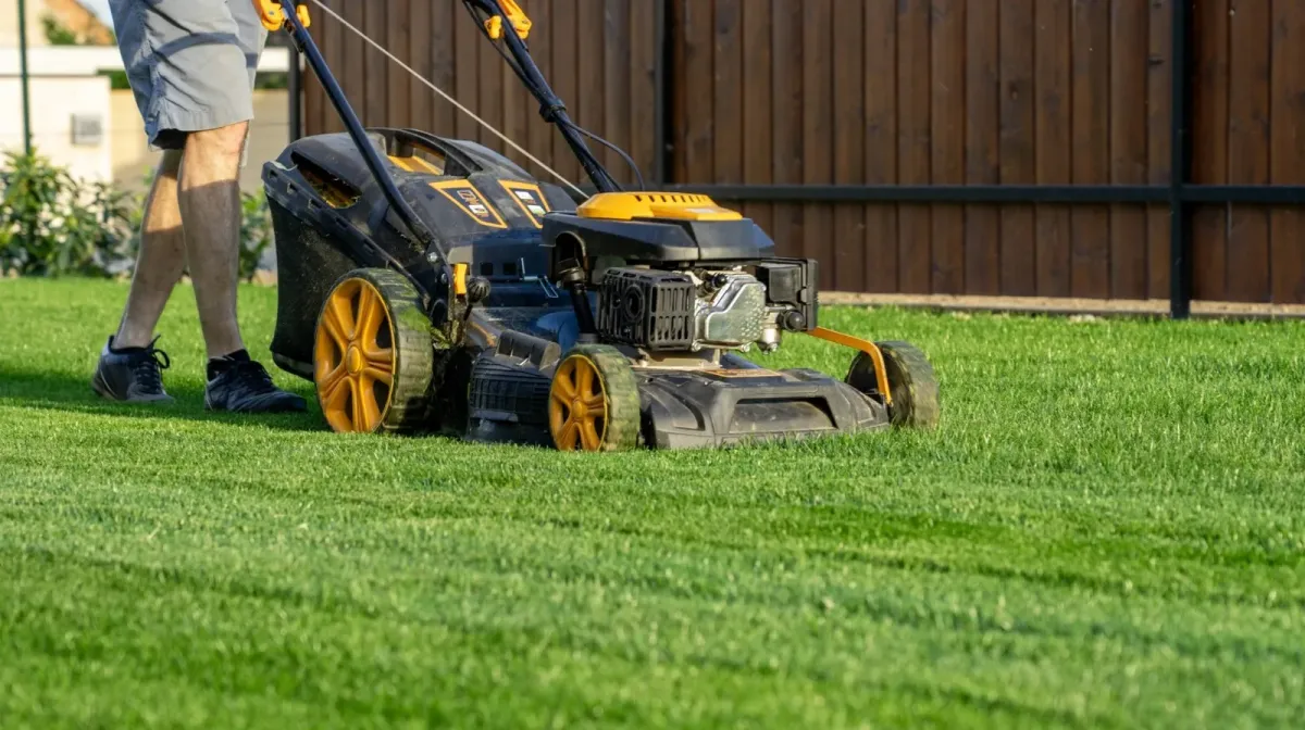 How To Cut Grass Without Damaging Your Lawn