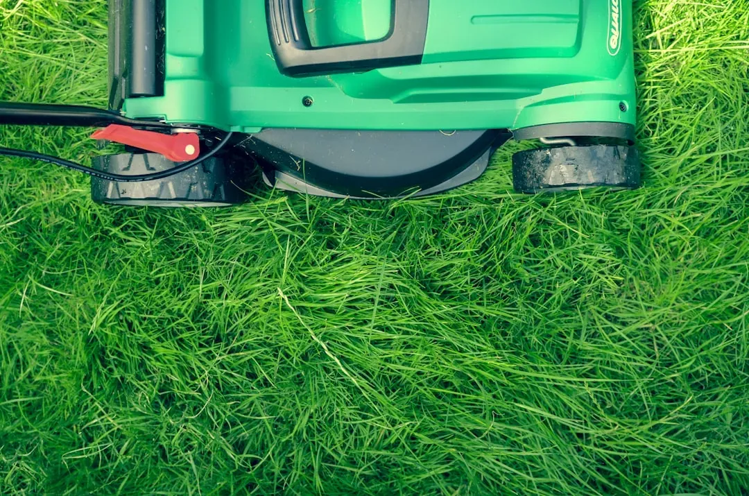 How To Cut Grass Without Damaging Your Lawn