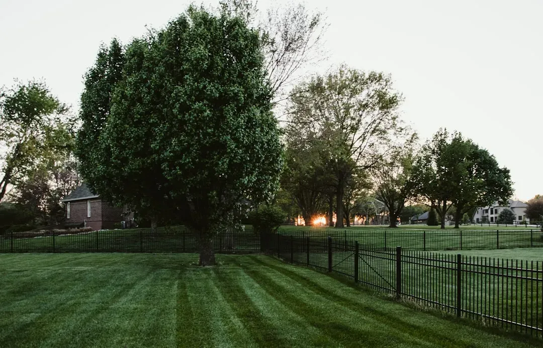 How To Select A Lawn Mower For Your Yard