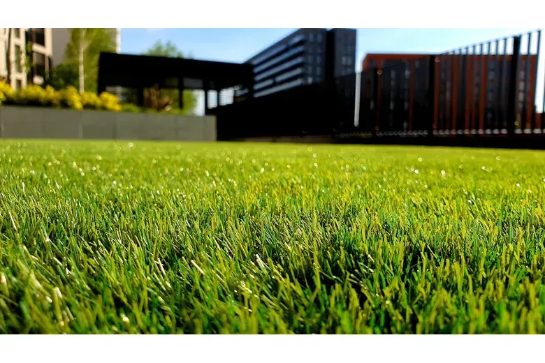 How Often to Mow Lawn