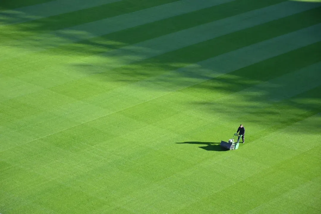 how often should you mow your lawn